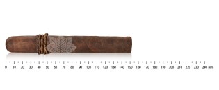 CAO Amazon Basin Toro