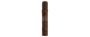 CAO Amazon Basin Rothschild