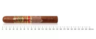 Quesada Vega Magna Toro