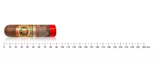 Arturo Fuente Don Carlos Eye of the Bull