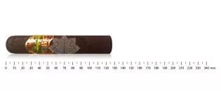 Oliva Master Blends 2006 Robusto
