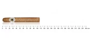 Ashton Classic Esquire