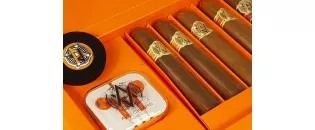 Avo 8 Assortiment Robusto -...