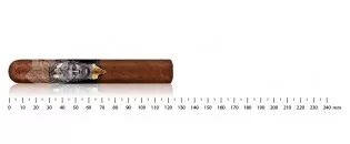 Alec & Bradley Gatekeeper...