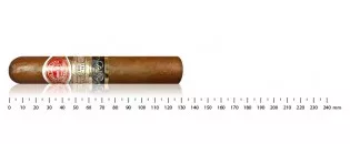 Romeo y Julieta Wide...