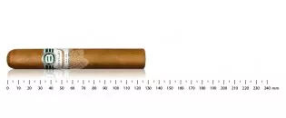 Bentley White Robusto