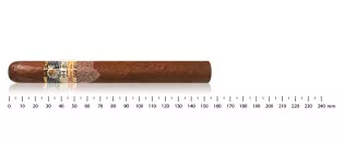 Cohiba Siglo III