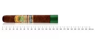 E.P Carillo Allegiance...