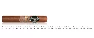 Davidoff Nicaragua Robusto